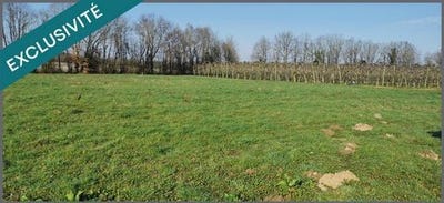 /international/fr/le-douhet-charente-310105746908/