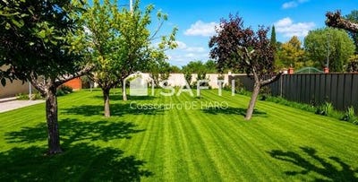 /international/fr/roques-midi-pyrenees-310105421488/