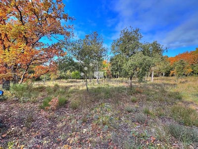 /international/fr/baudinard-sur-verdon-provence-alpes-cote-d-azur-310104133733/