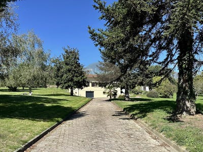 /international/fr/castelnau-magnoac-midi-pyrenees-310100493431/