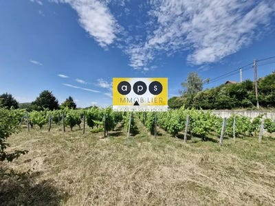 /international/fr/arbois-franche-comte-310108869982/