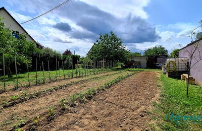 /international/fr/turckheim-alsace-310104468236/