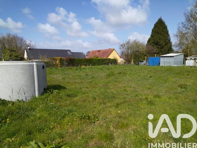 /international/fr/criquetot-sur-ouville-upper-normandy-310108367397/