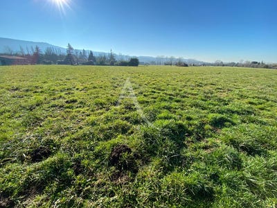/international/fr/soreze-midi-pyrenees-310104468041/