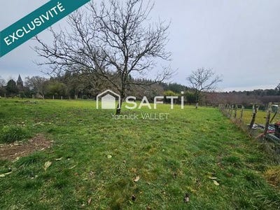 /international/fr/piegut-pluviers-aquitaine-310107863193/