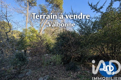 /international/fr/valbonne-provence-alpes-cote-d-azur-310109232869/