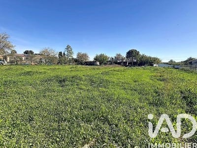 /international/fr/puissalicon-languedoc-roussillon-310107373207/