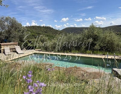 /international/fr/saint-jean-du-pin-languedoc-roussillon-310109096065/