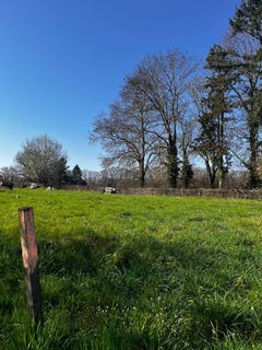 /international/fr/saint-remy-burgundy-310106484455/