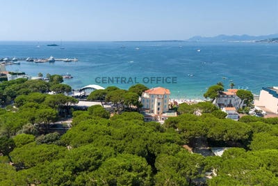 /international/fr/juan-les-pins-provence-alpes-cote-d-azur-310108329992/