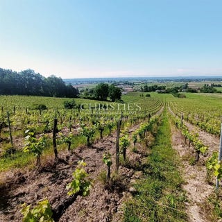 /international/fr/saint-magne-de-castillon-aquitaine-310103195247/