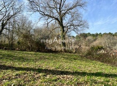 /international/fr/saint-astier-aquitaine-310105821328/