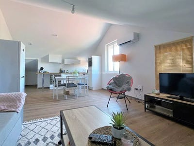 /international/fr/albi-midi-pyrenees-310107948649/