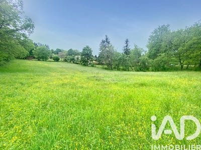 /international/fr/terrasson-lavilledieu-aquitaine-310104826950/