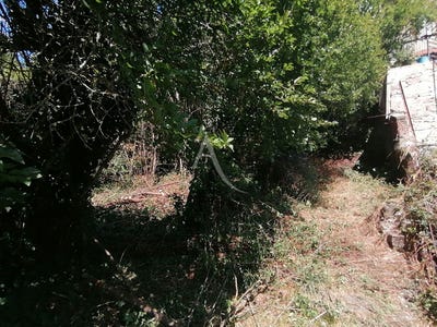 /international/fr/carmaux-midi-pyrenees-310104463835/