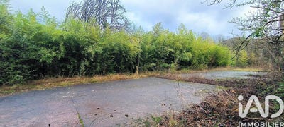 /international/fr/le-vigan-languedoc-roussillon-310104932218/