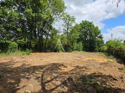 /international/fr/palluau-pays-de-la-loire-310107765903/