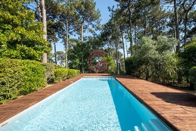/international/fr/biscarrosse-aquitaine-310108899316/