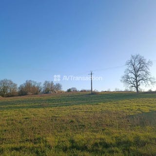 /international/fr/gy-centre-val-de-loire-310106464563/