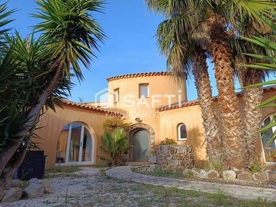 /international/fr/saint-cyprien-languedoc-roussillon-310099256979/