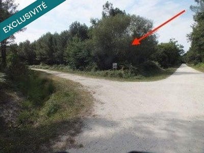 /international/fr/vendays-montalivet-aquitaine-310108216040/