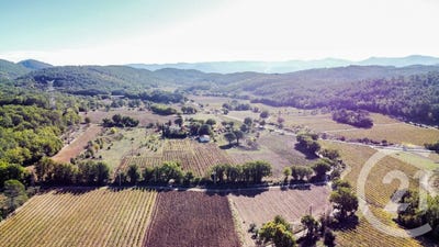 /international/fr/le-luc-provence-alpes-cote-d-azur-310119798535/