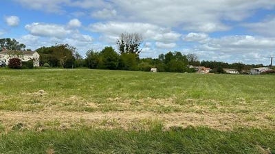 /international/fr/pisany-charente-310108487567/
