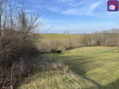 /international/fr/nailloux-midi-pyrenees-310105813452/
