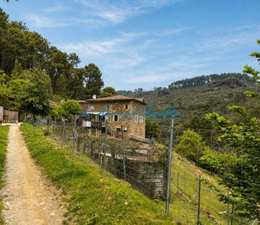 /international/fr/saint-paul-la-coste-languedoc-roussillon-310108866047/
