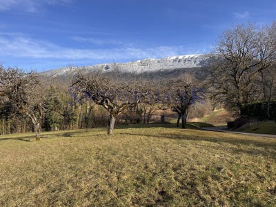 /international/fr/gruffy-rhone-310108554716/