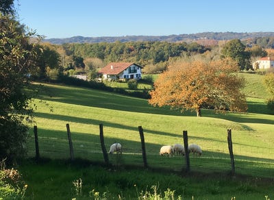 /international/fr/briscous-aquitaine-310108241569/