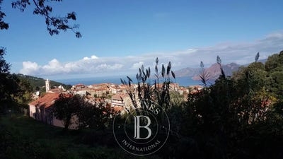 /international/fr/sagone-corsica-310108994904/