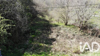 /international/fr/saint-die-des-vosges-lorraine-310107361156/