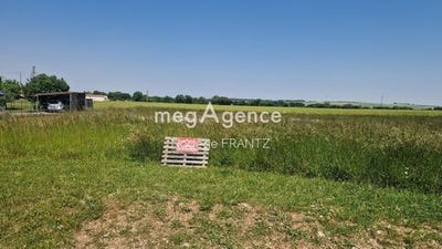 /international/fr/landes-charente-310105347582/