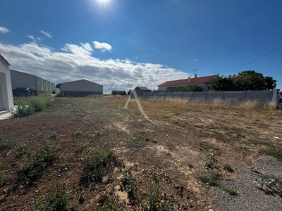 /international/fr/longeville-sur-mer-pays-de-la-loire-310109708985/