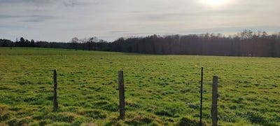 /international/fr/dompierre-sur-veyle-rhone-310105625339/