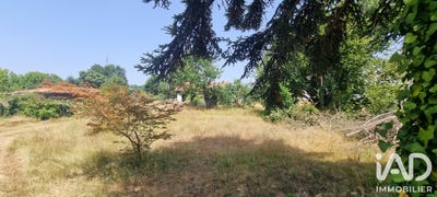 /international/fr/belin-beliet-aquitaine-310109075125/