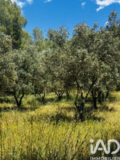 /international/fr/callas-provence-alpes-cote-d-azur-310108833577/