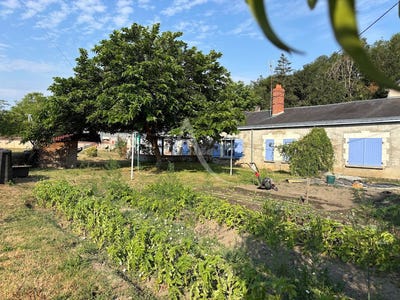 /international/fr/chalonnes-sur-loire-pays-de-la-loire-310109015690/