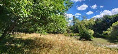 /international/fr/pleumartin-charente-310108704861/