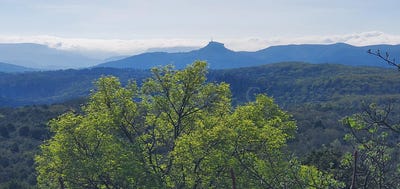 /international/fr/joyeuse-rhone-310100609545/?lang=zh-tw