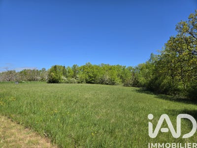 /international/fr/betaille-limousin-310107370558/