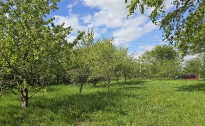 /international/fr/precigne-pays-de-la-loire-310107560843/