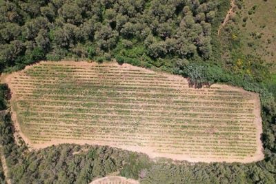 /international/fr/creissan-languedoc-roussillon-310101483484/