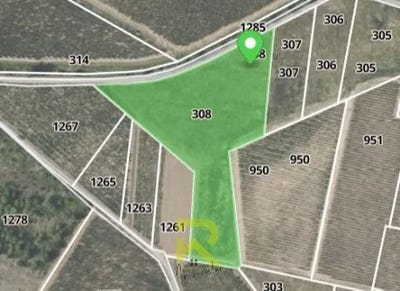 /international/fr/raissac-d-aude-languedoc-roussillon-310106715779/