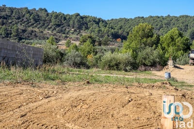 /international/fr/mailhac-languedoc-roussillon-310108508346/