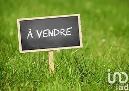 /international/fr/meaux-ile-de-france-310100369391/