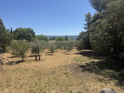 /international/fr/gordes-provence-alpes-cote-d-azur-310110428558/