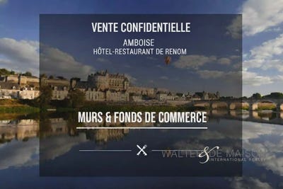/international/fr/amboise-centre-val-de-loire-310110178760/