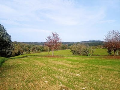 /international/fr/carlus-midi-pyrenees-310101155908/